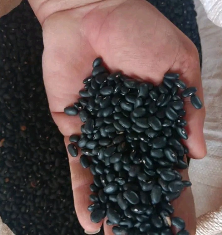 Frijoles Negros